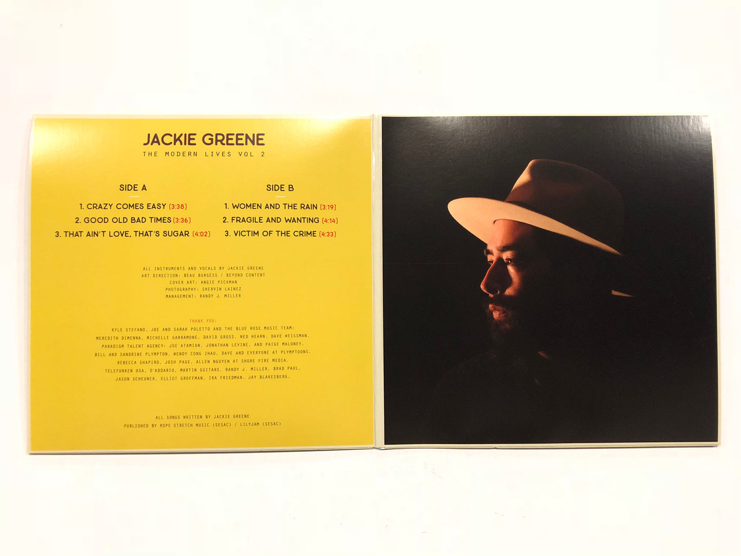 Jackie Greene The Modern Lives Vol. 2 vinyl album EP blue rose music back inside sleeve black vinyl